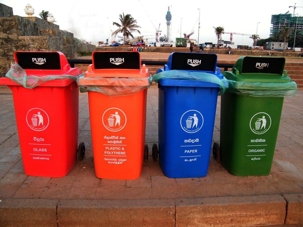 Plastic cleanup in action